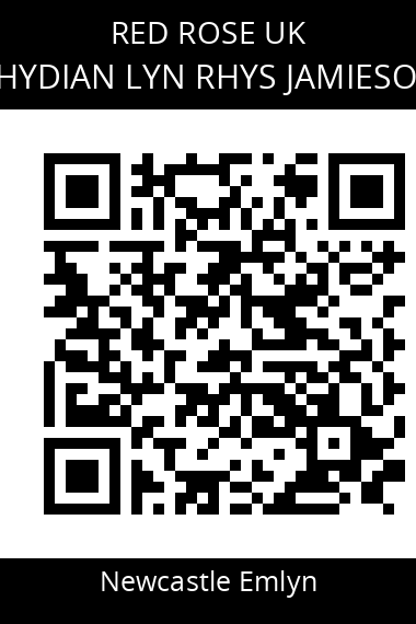 QR code for Rhydian Lyn Rhys Jamieson